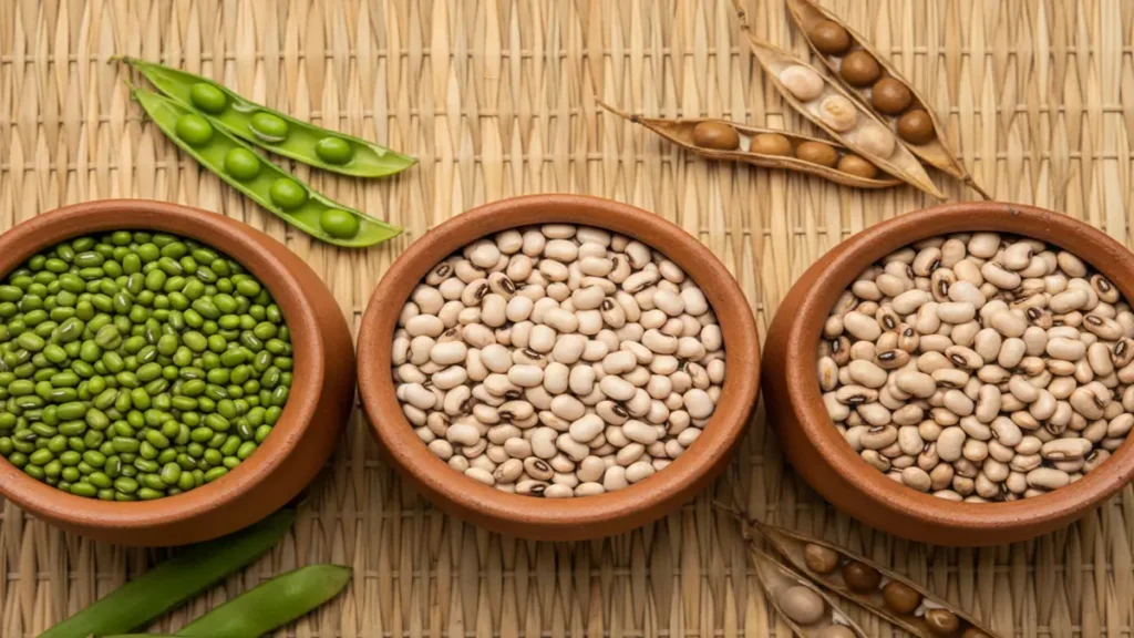 Três tigelas de barro contendo feijão verde, feijão fradinho e feijão de corda seco sobre uma esteira de palha.